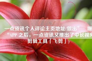 一点资讯个人评论主页地址(做出”啫喱“APP 之后，一点资讯又推出了中长视频剪辑工具「飞剪」)