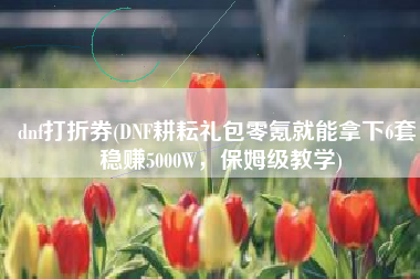 dnf打折券(DNF耕耘礼包零氪就能拿下6套！稳赚5000W，保姆级教学)