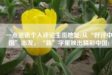 一点资讯个人评论主页地址(从“好评中国”出发，“新”字里映出精彩中国)