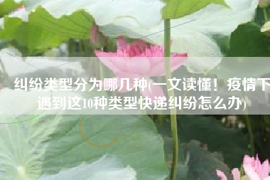 纠纷类型分为哪几种(一文读懂！疫情下遇到这10种类型快递纠纷怎么办)