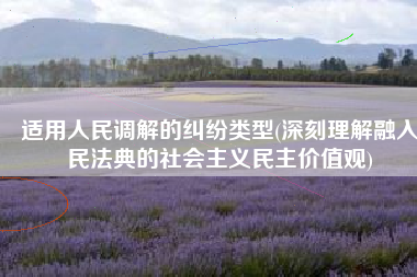 适用人民调解的纠纷类型(深刻理解融入民法典的社会主义民主价值观)