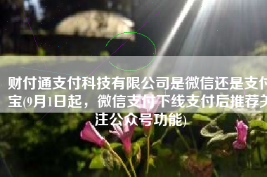 财付通支付科技有限公司是微信还是支付宝(9月1日起，微信支付下线支付后推荐关注公众号功能)