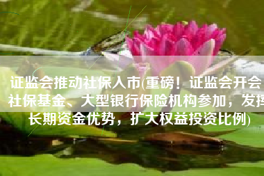 证监会推动社保入市(重磅！证监会开会，社保基金、大型银行保险机构参加，发挥长期资金优势，扩大权益投资比例)