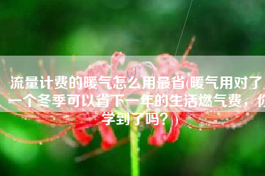 流量计费的暖气怎么用最省(暖气用对了，一个冬季可以省下一年的生活燃气费，你学到了吗？)