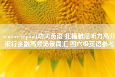 venture capital(功夫英语 托福雅思听力高分 银行金融高频场景词汇 四六级英语参考)