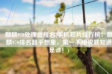 麒麟970处理器排名(手机芯片排行榜：麒麟970排名超乎想象，第一不用说就知道是谁！)