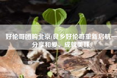 好伦哥团购北京(良乡好伦哥重新启航一分享和爱、成就美味)