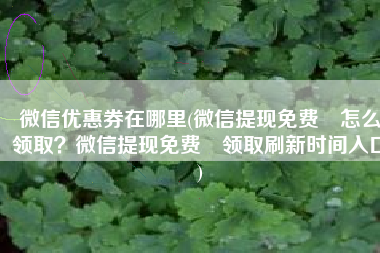 微信优惠券在哪里(微信提现免费劵怎么领取？微信提现免费劵领取刷新时间入口)