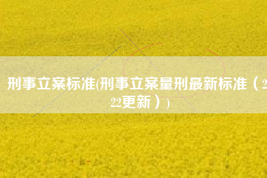 刑事立案标准(刑事立案量刑最新标准（2022更新）)
