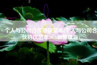 个人与公司合作协议范本(个人与公司合伙协议范本2018新整理版)