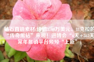 钻石直销素材(价值3700万美元、88克拉的“传奇黑钻”来啦！进博会“6天+365天”常年展销平台频频“上新”)