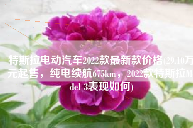 特斯拉电动汽车2022款最新款价格(29.10万元起售，纯电续航675km，2022款特斯拉Model 3表现如何)