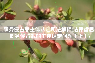 职务侵占罪主体认定司法解释(法律哲思：职务侵占罪的主体认定问题（上）)