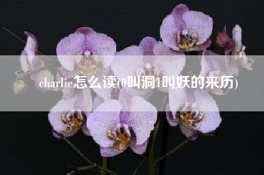 charlie怎么读(0叫洞1叫妖的来历)