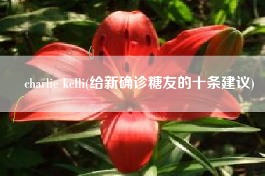 charlie kelli(给新确诊糖友的十条建议)