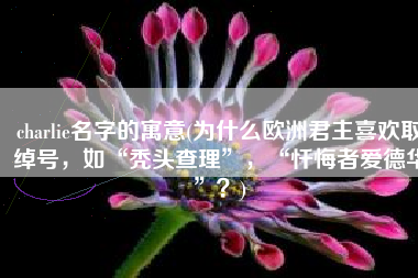 charlie名字的寓意(为什么欧洲君主喜欢取绰号，如“秃头查理”，“忏悔者爱德华”？)