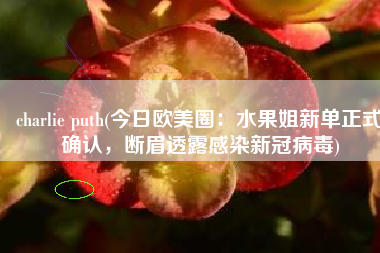 charlie puth(今日欧美圈：水果姐新单正式确认，断眉透露感染新冠病毒)