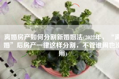 离婚房产如何分割新婚姻法(2022年，“离婚”后房产一律这样分割，不管谁闹也没用)