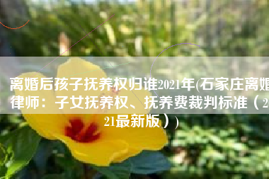 离婚后孩子抚养权归谁2021年(石家庄离婚律师：子女抚养权、抚养费裁判标准（2021最新版）)