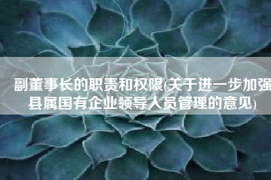 副董事长的职责和权限(关于进一步加强县属国有企业领导人员管理的意见)