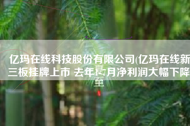 亿玛在线科技股份有限公司(亿玛在线新三板挂牌上市 去年1-7月净利润大幅下降)