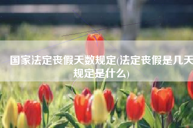 国家法定丧假天数规定(法定丧假是几天规定是什么)