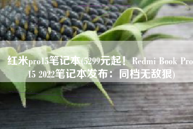红米pro15笔记本(5299元起！Redmi Book Pro 15 2022笔记本发布：同档无敌狠)
