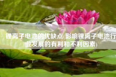 锂离子电池的优缺点(影响锂离子电池行业发展的有利和不利因素)
