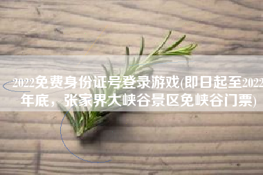 2022免费身份证号登录游戏(即日起至2022年底，张家界大峡谷景区免峡谷门票)