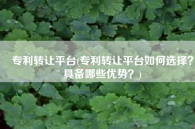 专利转让平台(专利转让平台如何选择？具备哪些优势？)