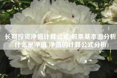 长期投资净值计算公式(股票基本面分析：什么是净值 净值的计算公式分析)