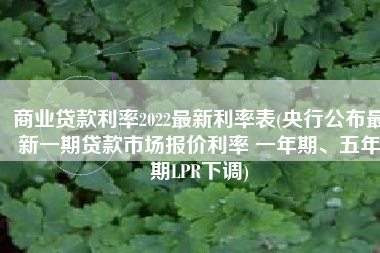 商业贷款利率2022最新利率表(央行公布最新一期贷款市场报价利率 一年期、五年期LPR下调)