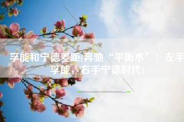 孚能和宁德差距(奔驰“平衡术”：左手孚能，右手宁德时代)