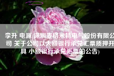 李升 电源(深圳麦格米特电气股份有限公司 关于公司以大额银行承兑汇票质押开具 小额银行承兑汇票的公告)