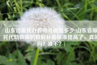 山东省原民办教师补助涨多少(山东省原民代幼教师的教龄补助标准提高了，真的吗？准不？)