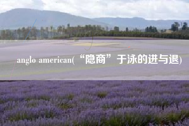 anglo american(“隐商”于泳的进与退)