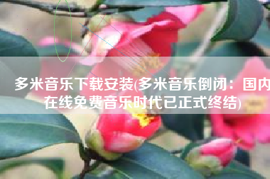 多米音乐下载安装(多米音乐倒闭：国内在线免费音乐时代已正式终结)
