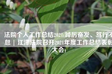 法院个人工作总结2021(踔厉奋发、笃行不怠 | 江津法院召开2021年度工作总结表彰大会)