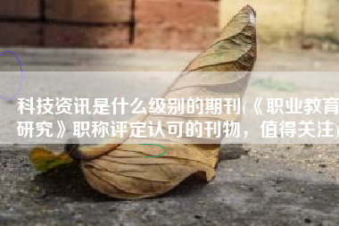 科技资讯是什么级别的期刊(《职业教育研究》职称评定认可的刊物，值得关注)