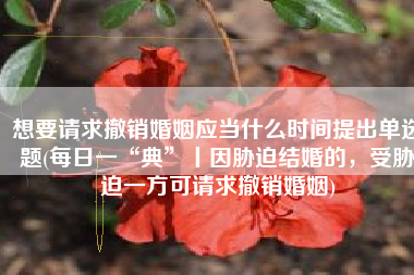 想要请求撤销婚姻应当什么时间提出单选题(每日一“典”丨因胁迫结婚的，受胁迫一方可请求撤销婚姻)