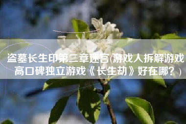 盗墓长生印第二章迷宫(游戏人拆解游戏：高口碑独立游戏《长生劫》好在哪？)