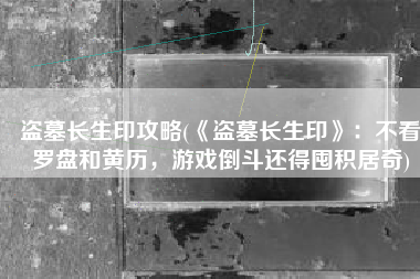 盗墓长生印攻略(《盗墓长生印》：不看罗盘和黄历，游戏倒斗还得囤积居奇)