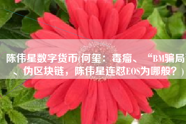 陈伟星数字货币(何玺：毒瘤、“BM骗局”、伪区块链，陈伟星连怼EOS为哪般？)