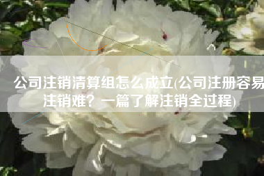 公司注销清算组怎么成立(公司注册容易注销难？一篇了解注销全过程)