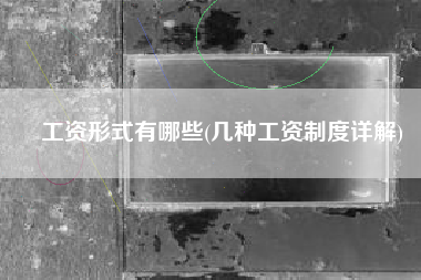 工资形式有哪些(几种工资制度详解)