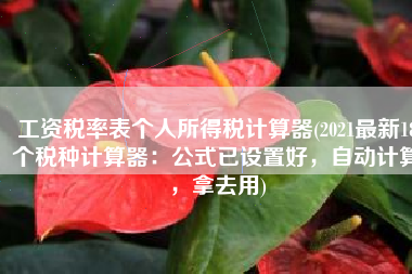 工资税率表个人所得税计算器(2021最新18个税种计算器：公式已设置好，自动计算，拿去用)