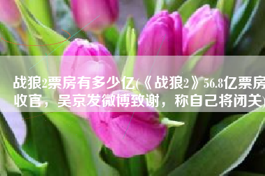 战狼2票房有多少亿(《战狼2》56.8亿票房收官，吴京发微博致谢，称自己将闭关)