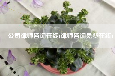 公司律师咨询在线(律师咨询免费在线)
