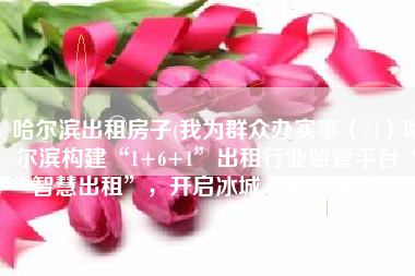 哈尔滨出租房子(我为群众办实事（24）哈尔滨构建“1+6+1”出租行业监管平台“智慧出租”，开启冰城人出行新时代)