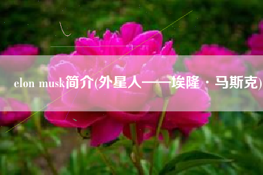 elon musk简介(外星人——埃隆·马斯克)